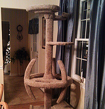 Star Trek Cat Tree: For Trekkies With Cats Star Trek Cat Tree: For Trekkies With Cats