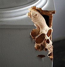 Freaky Anatomical Sculptures Created In Everyday Wood Items
