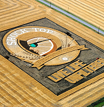 Crop Field Portraits Way Better Than The Harry Potter One Crop Field Portraits Way Better Than The Harry Potter One