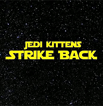 Jedi Kittens: The Battle Continues [Part 2]