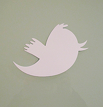 Twitterpalooza: Twitter Statistics In Focus [Infographic]