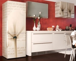 coolors-kitchen-decorating-ideas-colored-appliances-4