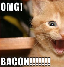 Can’t Get Enough Bacon? Enter Baconfest Chicago