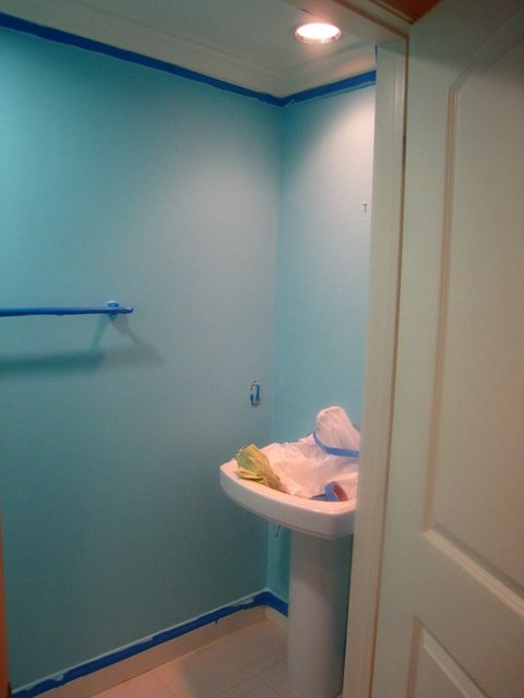 Bathroom Blue Wall Paint Job
