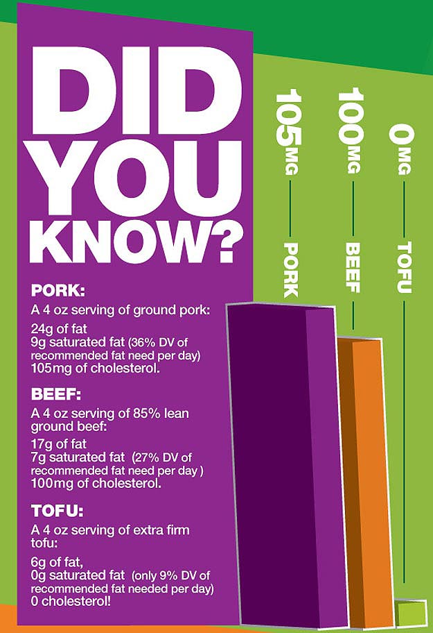 Tofu Facts and Information