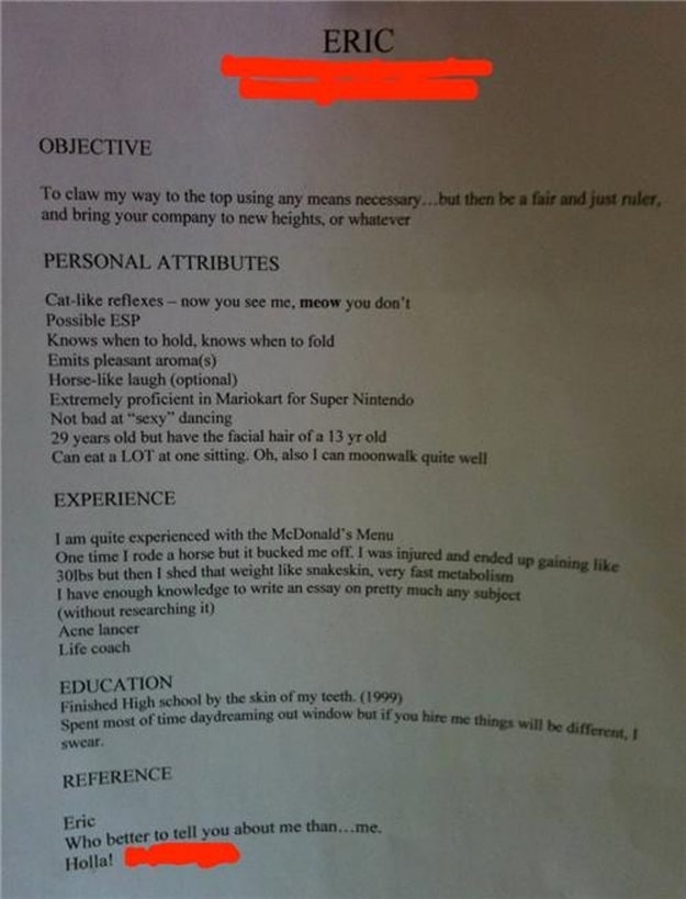 Creative or Stupid Job Resume