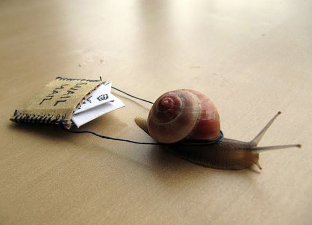 Live Snails Deliver Email