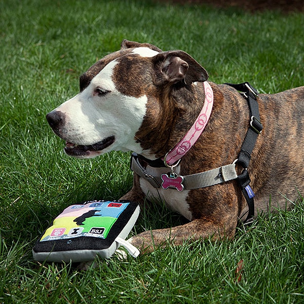 Think Geek iPad For Dogs