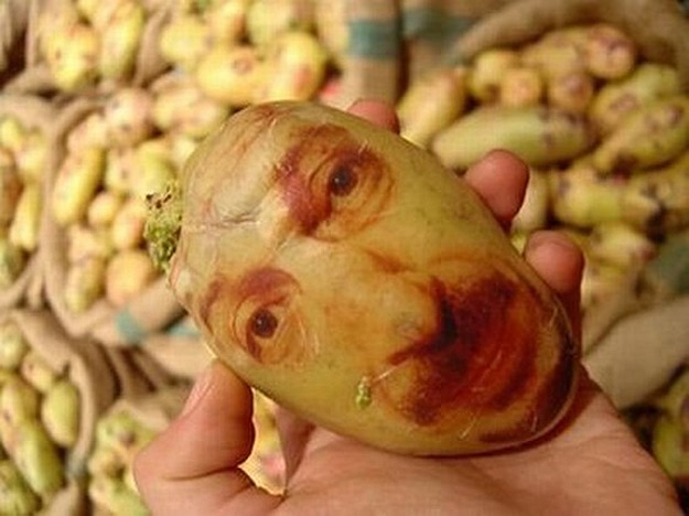 Potato Face Portraits Art