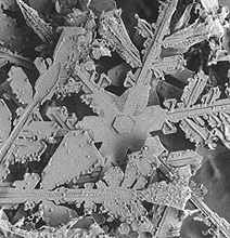 Wow! Snowflakes Under A Microscope