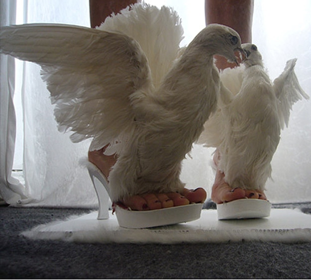 Pigeon Bird Inspired Shoes
