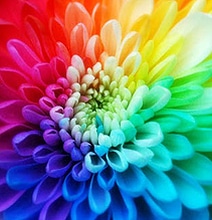 Men vs. Women: Our Favorite Colors Based On Gender