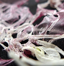 Eat Your Clothes: Edible Fabric Made From Fruits & Vegetables Eat Your Clothes: Edible Fabric Made From Fruits & Vegetables