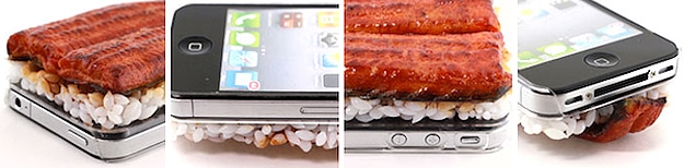 Japan Rice Sushi iPhone Cases