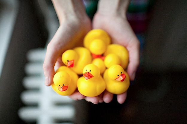 Yellow Rubber Ducks In Puddles