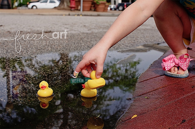 Yellow Rubber Duck In Puddles