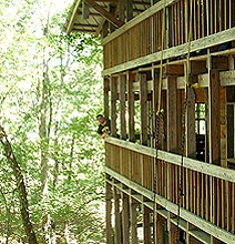 The World’s Largest Treehouse: A Mansion In A Tree