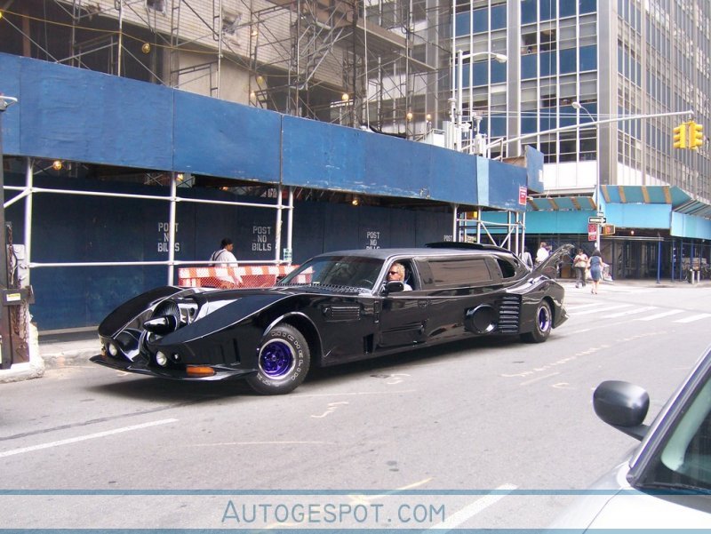 Fan Created Batmobile Limousine Car