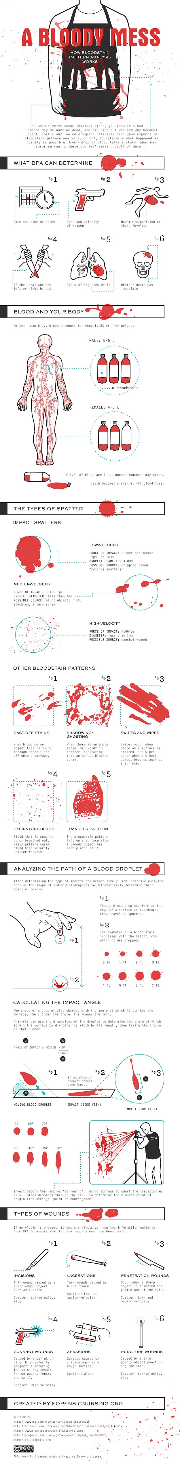Analyze A Bloodstain Pattern