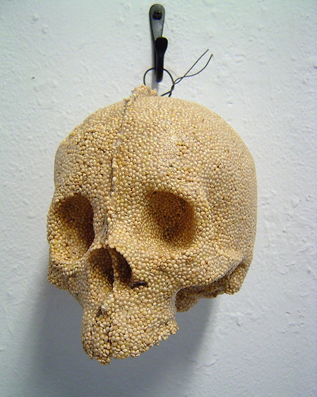 Helen Altman Spice Skull