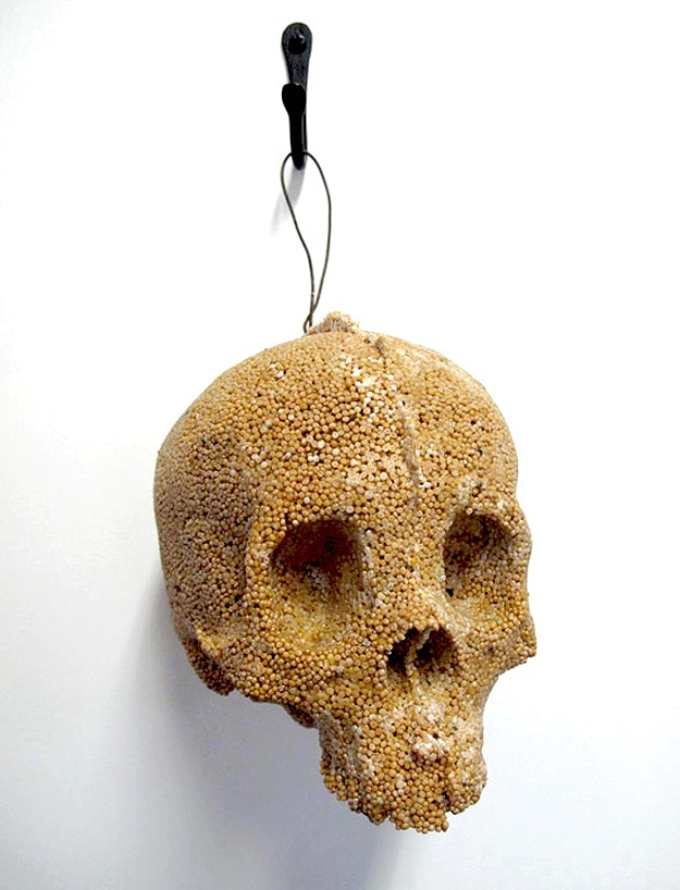 Helen Altman Spice Skull