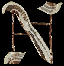The Bacon Font: A Uniquely Delicious Alphabet