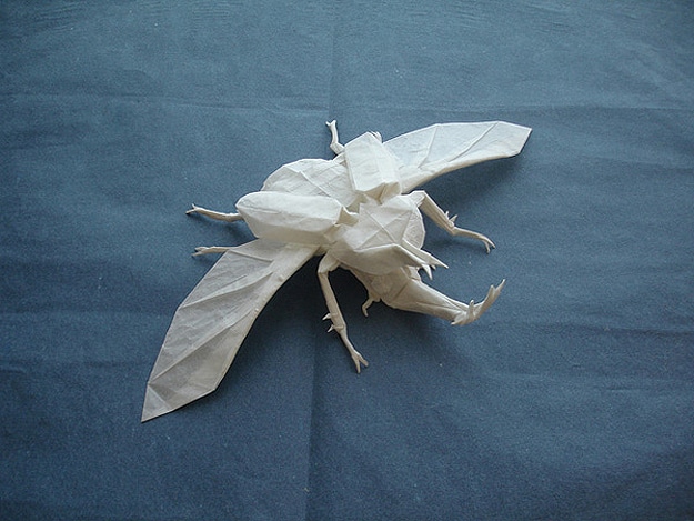 Paper Fold Insect Art