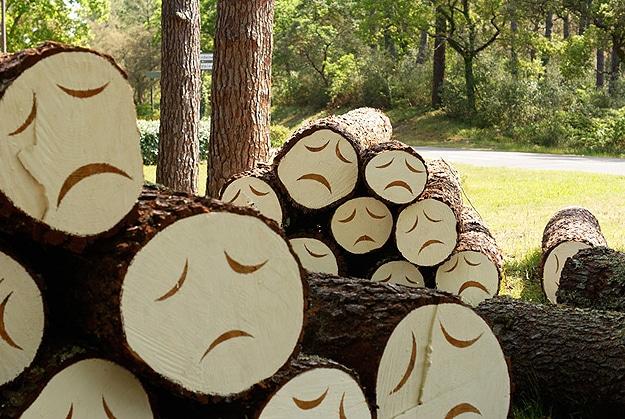 Deforestation Makes Trees Sad
