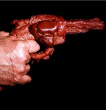 Raw Meat Gun Designs (Good Enough To Eat)