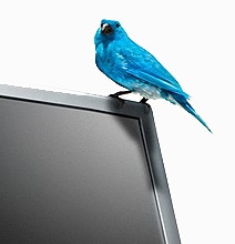 The $17,000 Tweet: Don’t Ever Underestimate Twitter The $17,000 Tweet: Don’t Ever Underestimate Twitter