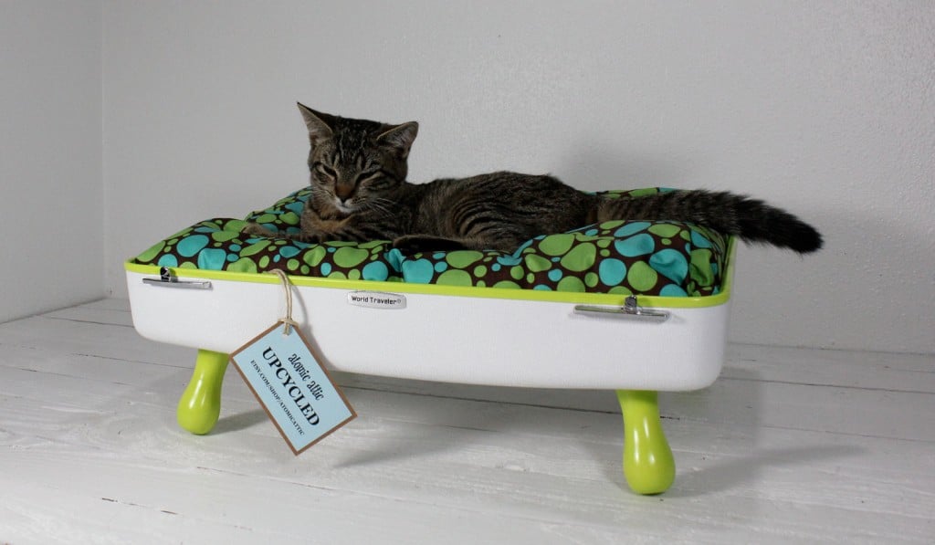 Upcycled Vintage Item Pet Beds