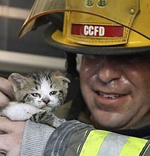 Heart Warming Animal Rescues [10 Pics]