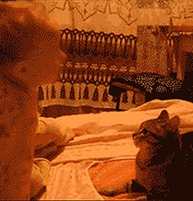 Kablaam: Kid Feels The Retribution Of A Cat Face Slam Kablaam: Kid Feels The Retribution Of A Cat Face Slam