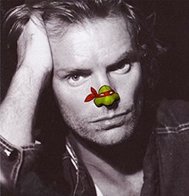 10 Ninja Noses: Teenage Mutant Ninja Turtles On Noses