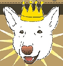 Canine Communication: All About Your Dog’s Bark [Infographic]