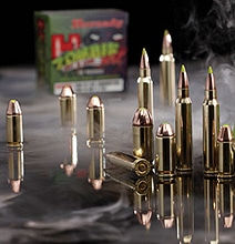 Zombie Ammo: Designed To Kill Even The Gnarliest Zombies