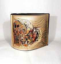 Extreme Cut Out Book Art Extreme Cut Out Book Art