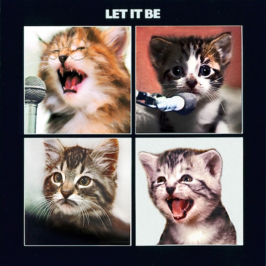 Cats On Record Albums