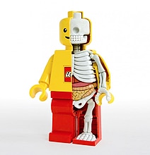 The Anatomy Of A Lego Minifigure The Anatomy Of A Lego Minifigure