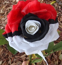 Pokérose: Because Pokémon Geeks Need Love Too