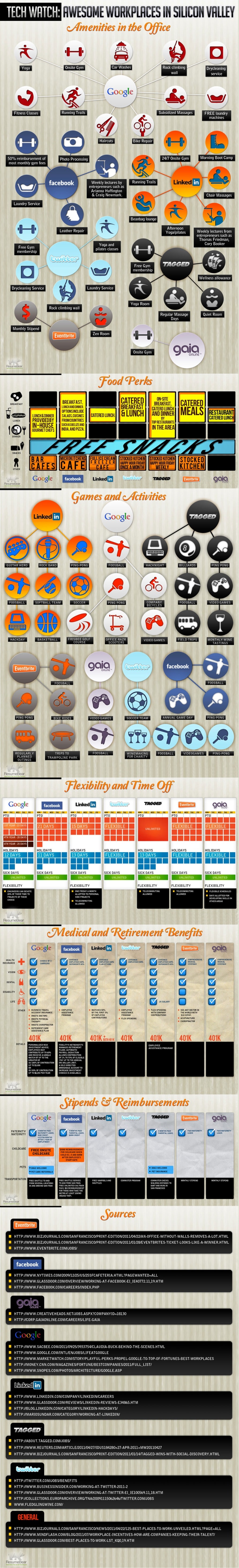 Social Networking Company Perks Infographic