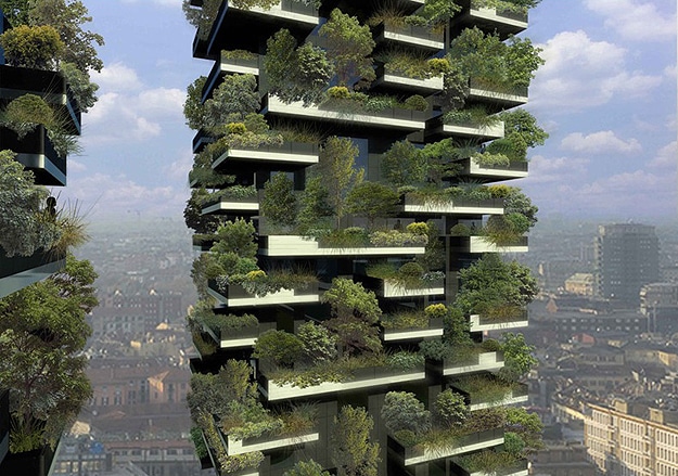 Forest Grows On A Building