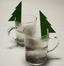 Christmas Tea: A Special Holiday Tea Bag Designed For Two Christmas Tea: A Special Holiday Tea Bag Designed For Two
