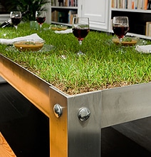 Inspiration: An Indoor Picnic Table Created With Real Grass