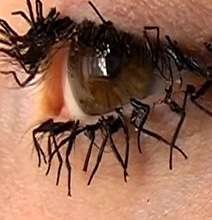 Bizarre Beauty: Fake Eyelashes Created From Dead Fly Legs Bizarre Beauty: Fake Eyelashes Created From Dead Fly Legs