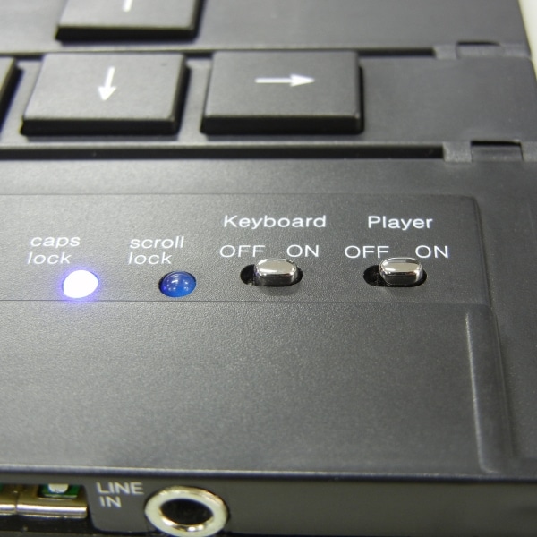 Roll-Up Remote Control Speaker Keyboard