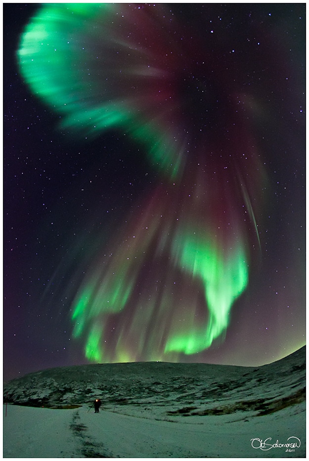 Aurora Borealis Light Up Sky