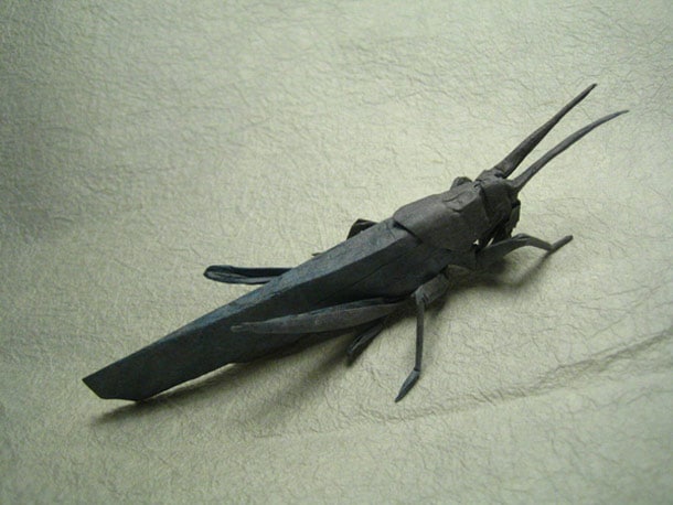 One Paper Sheet Insect Origami