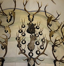 Facebook Fan Pages Are More Than Trophy Walls Facebook Fan Pages Are More Than Trophy Walls