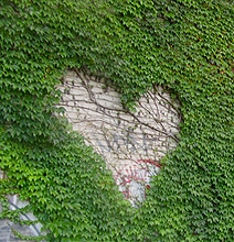 Dead Hearts: A Collection Of Heart Art In Public Spaces [12 Pics]